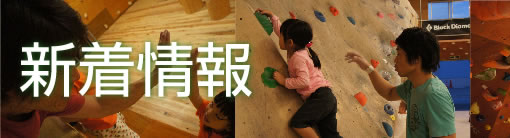 新着情報